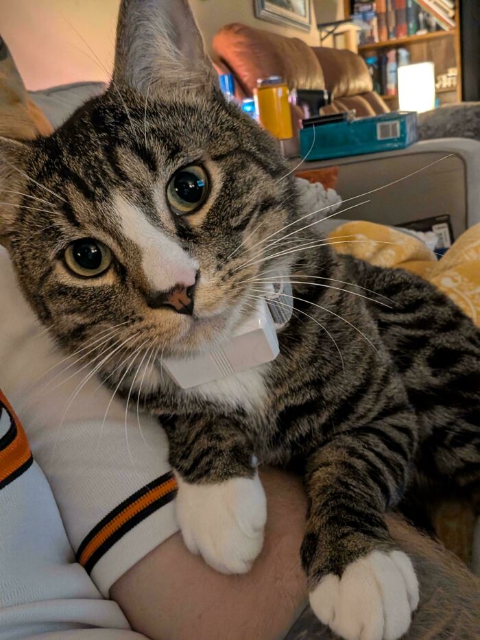 82 Wholesome Animal Pics That Might Be The Nicest Thing You See Today