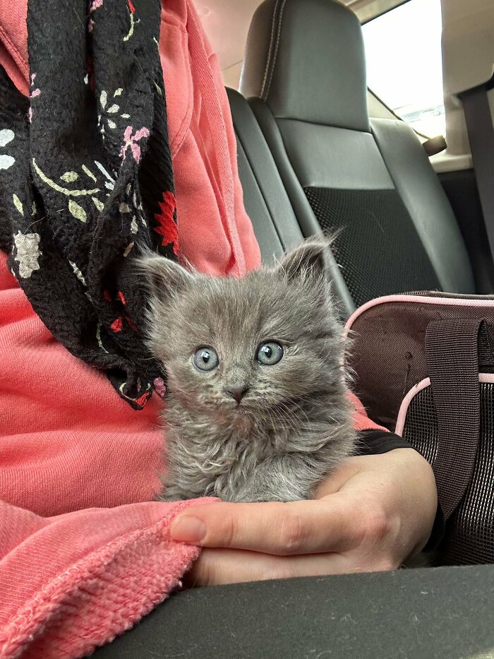 82 Wholesome Animal Pics That Might Be The Nicest Thing You See Today