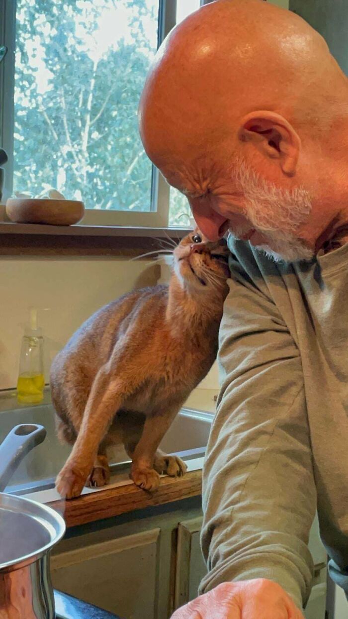 82 Wholesome Animal Pics That Might Be The Nicest Thing You See Today