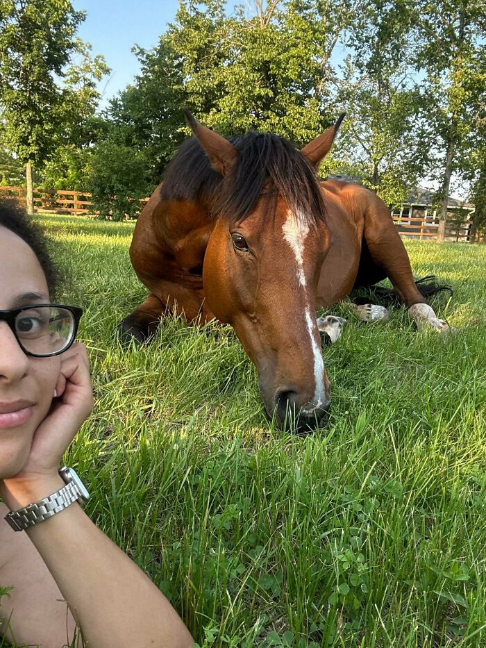 82 Wholesome Animal Pics That Might Be The Nicest Thing You See Today