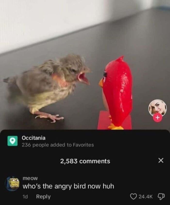 75 Times Someone Replied To A Post So Cleverly That Everyone Forgot What The Original Was About 75 Times Someone Replied To A Post So Cleverly That Everyone Forgot What The Original Was About