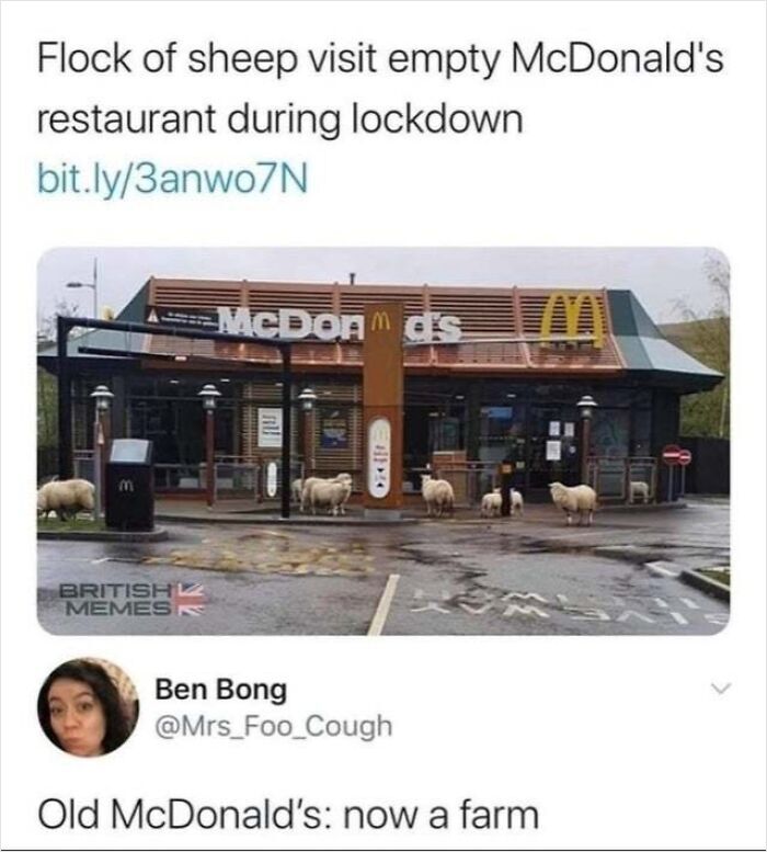 75 Times Someone Replied To A Post So Cleverly That Everyone Forgot What The Original Was About 75 Times Someone Replied To A Post So Cleverly That Everyone Forgot What The Original Was About