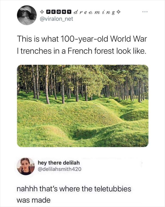 75 Times Someone Replied To A Post So Cleverly That Everyone Forgot What The Original Was About 75 Times Someone Replied To A Post So Cleverly That Everyone Forgot What The Original Was About